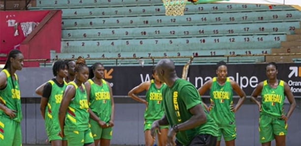 Annulation du camp d’entraînement des Lionnes aux États-Unis: La préparation de l’Afrobasket se poursuivra au Sénégal