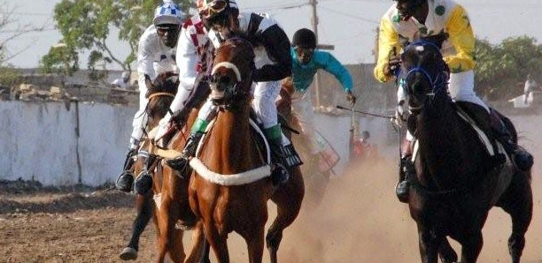 Courses Hippiques : 82 chevaux à la corde et 15 millions F CFa en jeu pour le Prix de la renaissance africaine