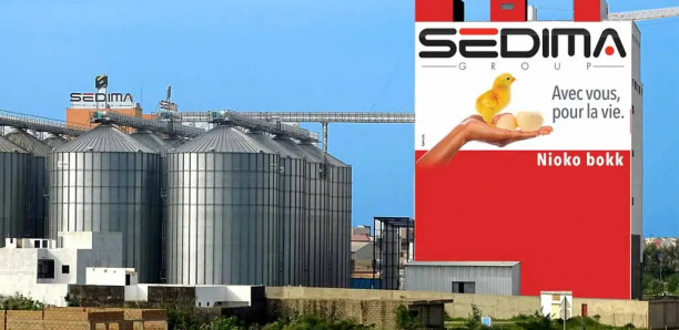 Sedima : pourparlers entre la famille Ngom et des investisseurs pour…