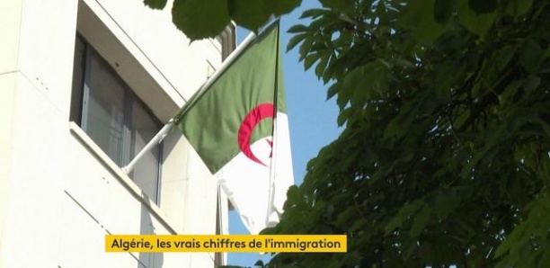 Immigration : six millions d'Algériens vivent en France