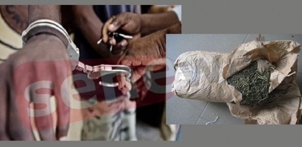 Diamaguene : un « gendarme » de l’anti-drogue arrêté pour usage de chanvre indien