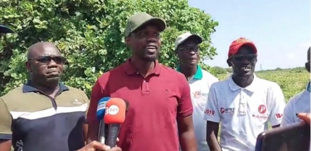 "Patriotes" de Mbour : "Macky Sall cherche à détruire Ousmane Sonko"