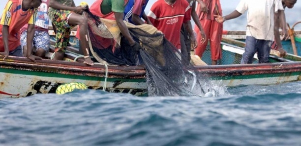Mbour : un mystérieux produit déversé en mer, des poissons tués, cinq localités touchées…