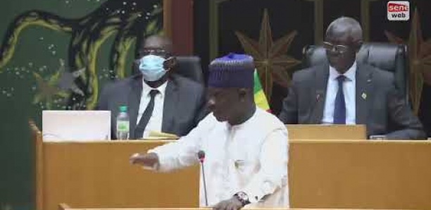 Vote du budget du ministère de l’agriculture : Le cours magistral de Birame Soulèye Diop sur les OGM