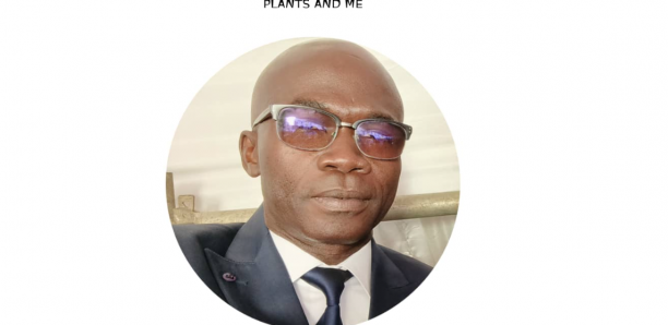 SOUS L’ARBRE A PALABRE DE LA REPUBLIQUE, UNIS POUR LE SENEGAL DE DEMAIN ( Par FRANCOIS MAME SAMBA NDIAYE)