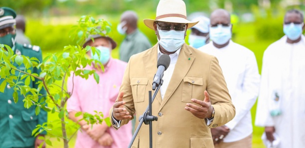 Sénégal : Le président Macky Sall va classer 10 forêts dans cinq régions (ministre)