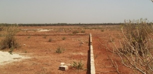 Scandale foncier : Des agents de l’ARTP déboursent 120 millions pour des terrains invisibles