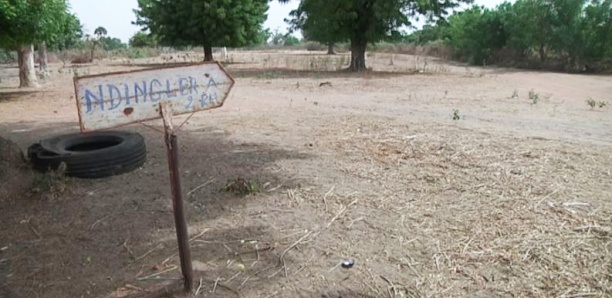 [Film] Ndingler, chronique d'une spoliation foncière