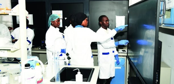 Lutte contre la tuberculose : Le génome entièrement séquencé par L’IRESSEF,  une avancée scientifique inédite au Sénégal