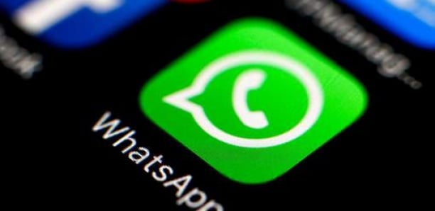 Cette nouvelle option WhatsApp va vous faire réagir