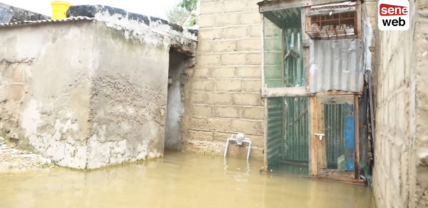 Édition spéciale sur les inondations : MNF en immersion à Keur Massar avec le ministre Oumar GUEYE