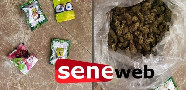 Yeumbeul : Un Malien surpris dans sa chambre avec 174 képas de kush