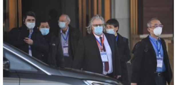 Les experts de l'OMS enfin sur le terrain à Wuhan