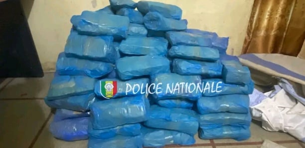 Mbour : 192 kg de "yamba" saisis par l'OCRTIS, les dealers en fuite