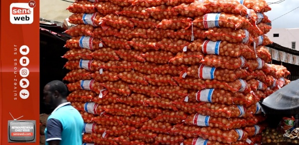 Marché Ocass à quelques jours du Magal : L’oignon et les autres denrées toujours hors de prix