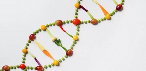 Le test ADN d’un Américain lui révèle qu’il a 18 demi-frères et sœurs