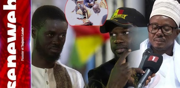 "Dualité au sommet de l'État" : Les conseils de Cheikh Bass au tandem Diomaye-Sonko