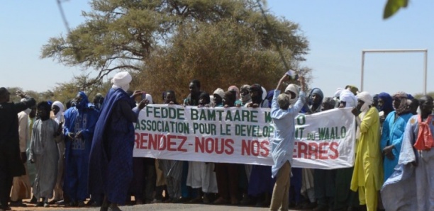 Bras de fer entre le Jaaraf de dakar et le collectif des habitants de amitié é