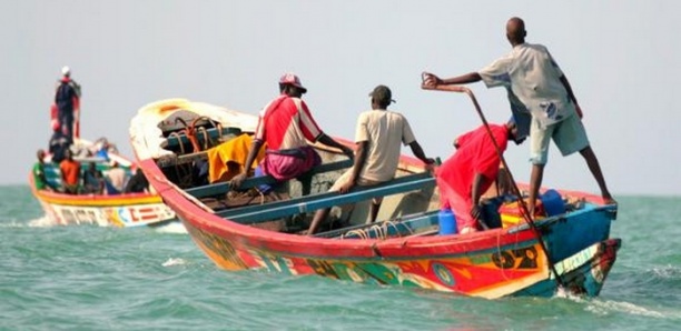 Lutte contre l’émigration clandestine : Des pêcheurs de Guet-Ndar à l’école de la pisciculture