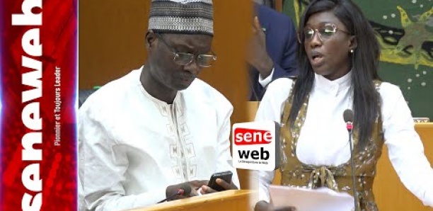 Modification de l’article 29 : Sokhna Ba propose une brèche pour respecter le secret du vote
