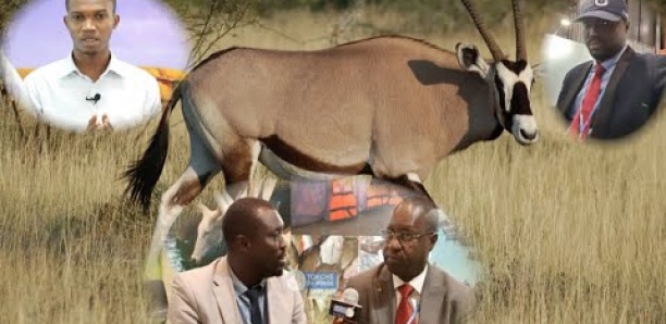 Affaire des gazelles oryx : Un 3e ministre cité