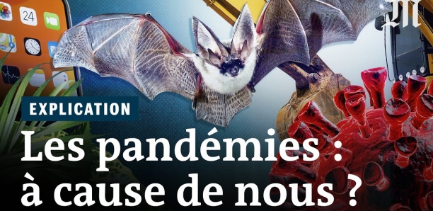 Comment l’humanité déclenche des pandémies