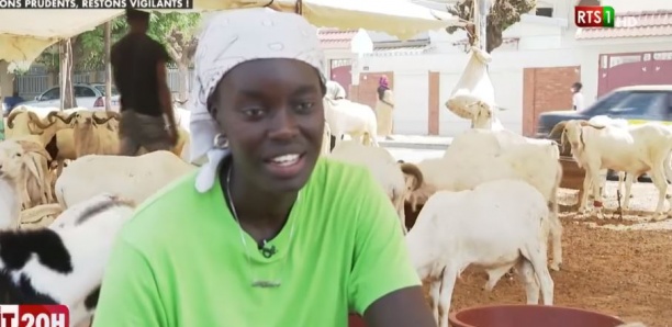 Fatou Kiné Kane, vendeuse de moutons : L'autre facette de la capitaine de l'As Ville de Dakar