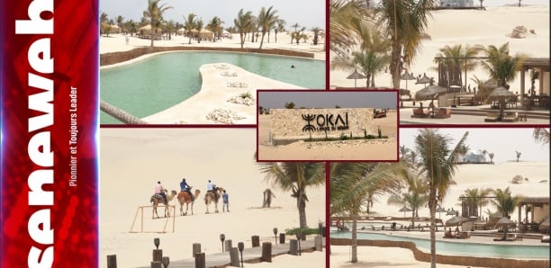 Oasis du désert : Eramet Grande Côte redynamise le tourisme au désert de Lompoul