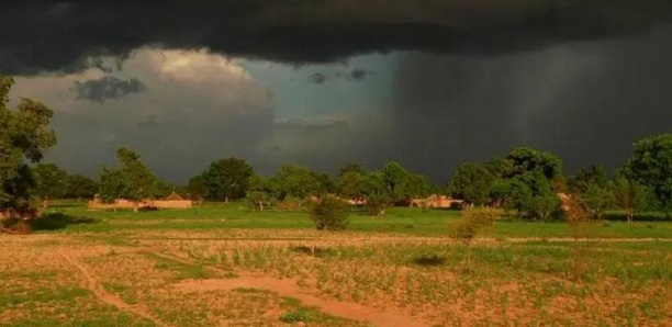 Hivernage 2024: L'ANACIM annonce la fin des pluies d'ici la fin du mois d'octobre