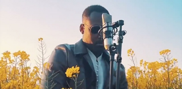 Mansour Diallo - Lane la