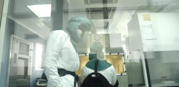 La durée de vie du coronavirus enfin connue?