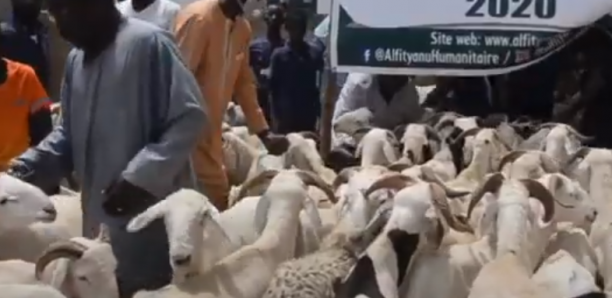 Tabaski 2020 : plus 150.000 moutons invendus