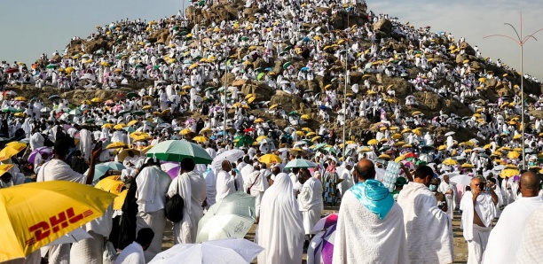 Les fidèles musulmans prient sur le mont Arafat, étape phare du hajj