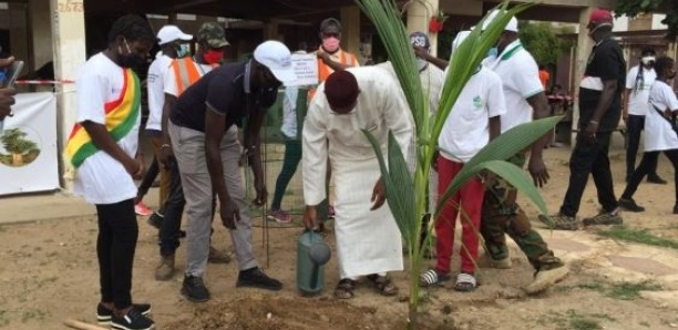 Reforestation : L'appel de Mamadou Ndione (Cosec) aux citoyens et jeunes de Diass