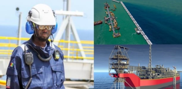 Pétrole et contenu local : un levier essentiel pour un Sénégal prospère, selon un expert