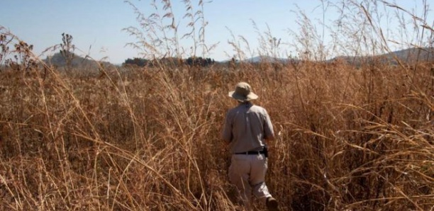 Le Zimbabwe accepte d'indemniser les fermiers blancs