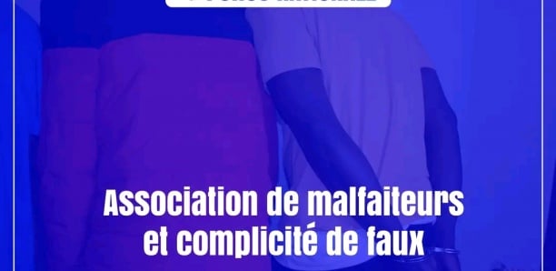 Pool judiciaire et financier : 8 individus, dont 4 Somaliens, déférés par la DNLT de Tamba