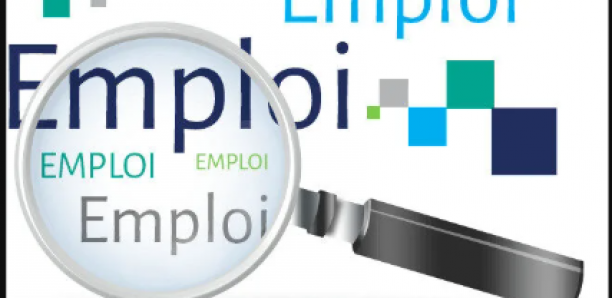 Marché de l’emploi : Une dynamique positive en 2024 portée par l’entrepreneuriat (rapport)
