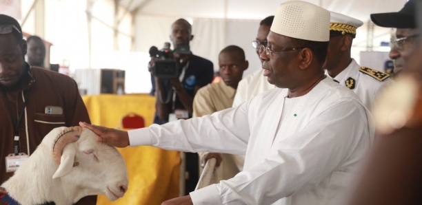 [Vidéo] Journée de l’élevage : Arrivée de Macky Sall pour le lancement des travaux