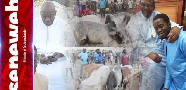 Hadiya de Mor Huchard: Serigne Saliou Thioune exprime son satisfecit