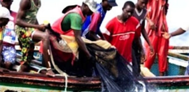 Journée Mondiale des Océans: La Papas renouvelle ses instances dirigeantes dans un contexte préoccupant pour la pêche artisanale