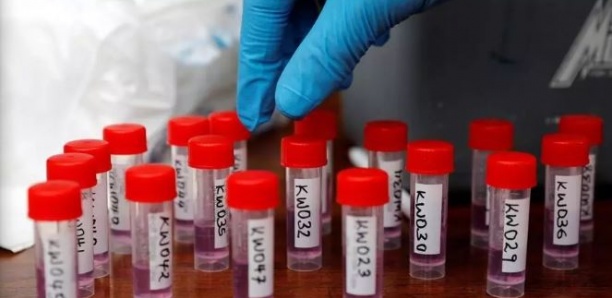 Afrique de l’Est : difficile coordination régionale dans la lutte contre le coronavirus