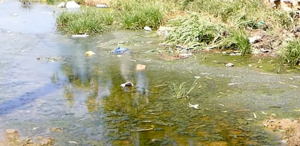 Thiès : L'école élémentaire Petit Thialy sous les eaux, les parents lancent un SOS