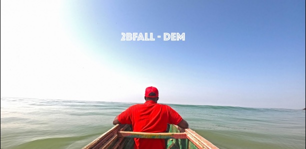 2BFALL - DEM