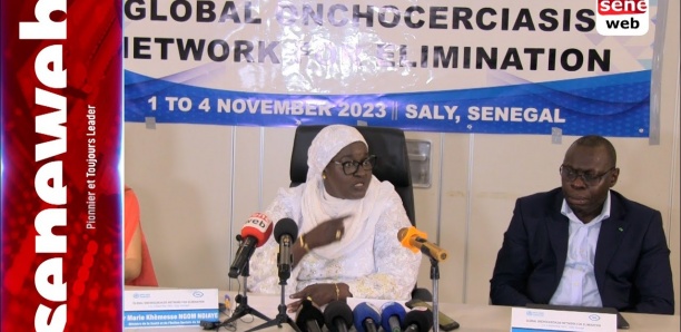 Le Réseau mondial pour l'élimination de l’onchocercose affine sa stratégie au Sénégal
