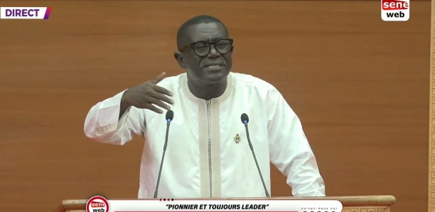 Assemblée nationale: Le discours de vérité du député Seydou Diouf