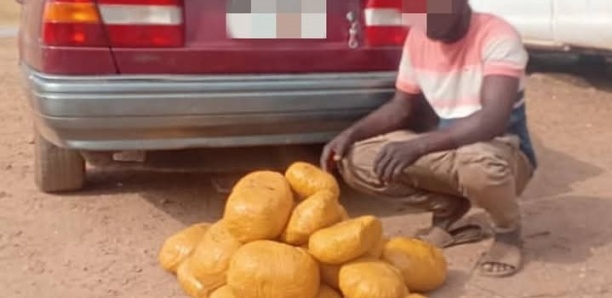 Burkina Faso : Saisie de plus de 20 kg de cannabis par la Police Nationale