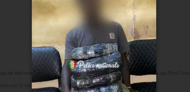 Ziguinchor: Un passager intercepté par la police de Yamatogne avec 8 kg de "yamba"