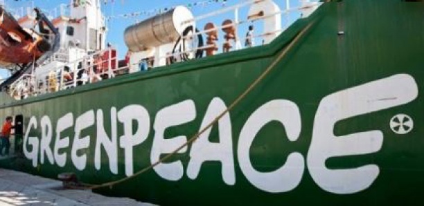 Rapport de l’OFNAC sur les licences de pêche : Greenpeace Afrique invite le Sénégal à la transparence