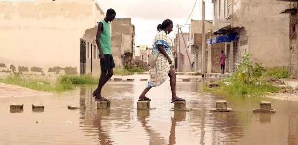 Lutte contre les inondations au Sénégal : La solution du  Parti écologique
